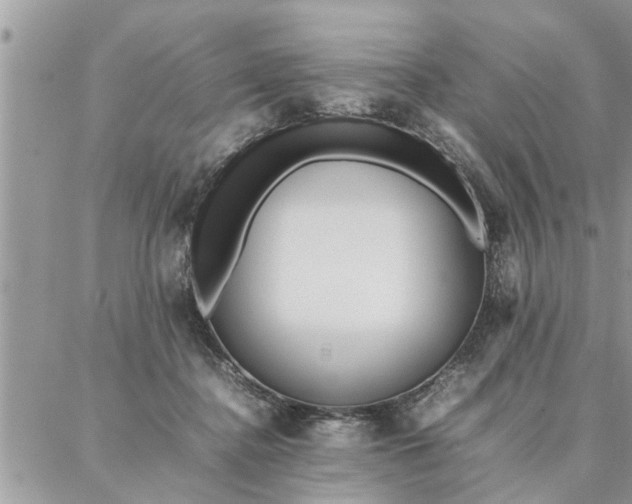 X0000087360364200705041901