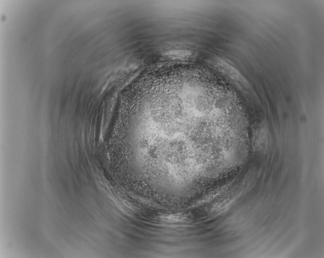 X0000087360365200705041901