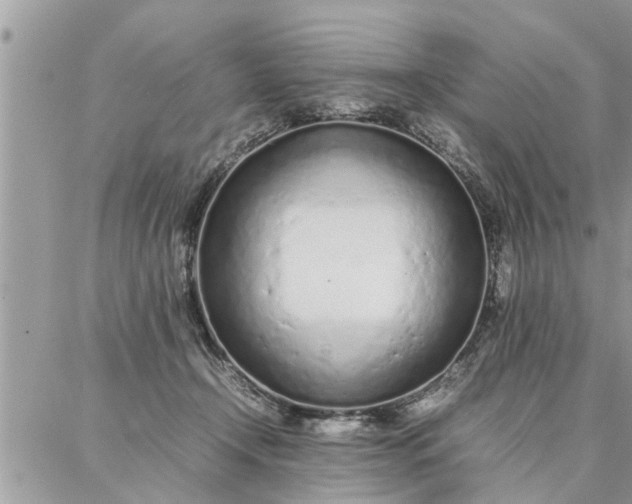 X0000087360366200705041901