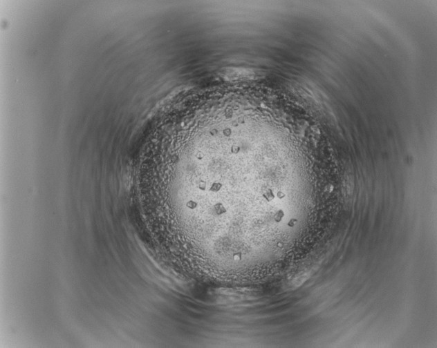 X0000087360367200705041901