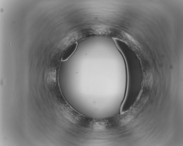 X0000087360368200705041901