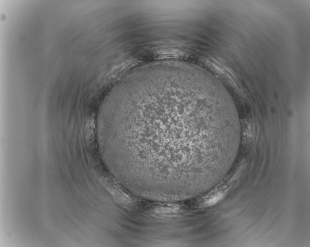 X0000087360369200705041901