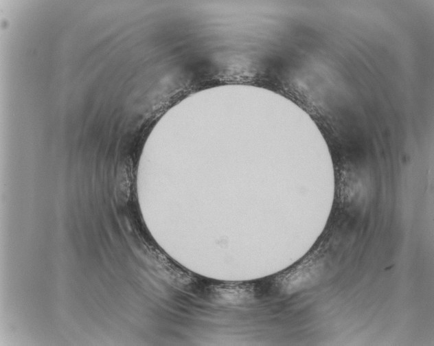 X0000087360370200705041901