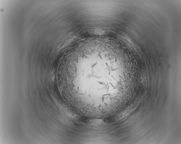 X0000087360374200705041901