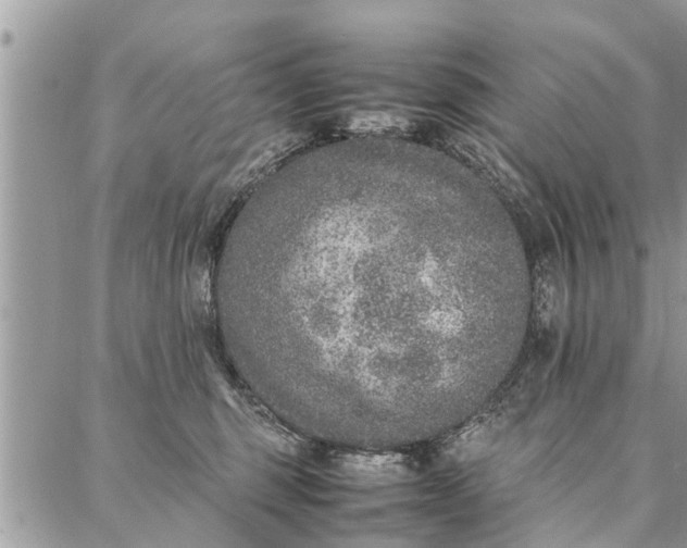 X0000087360375200705041901