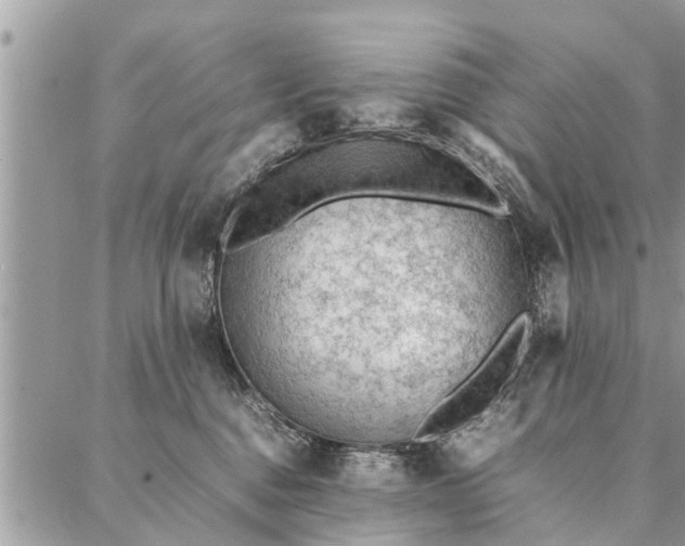 X0000087360376200705041901