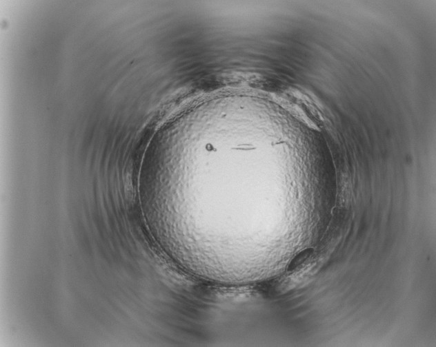 X0000087360377200705041901