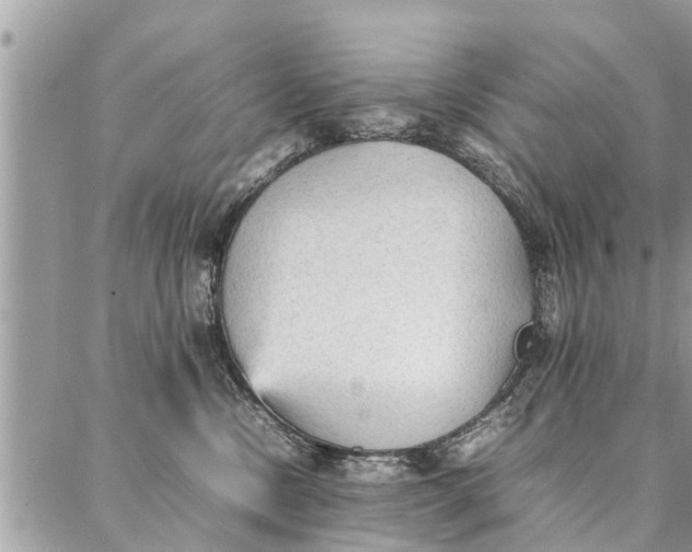 X0000087360378200705041901