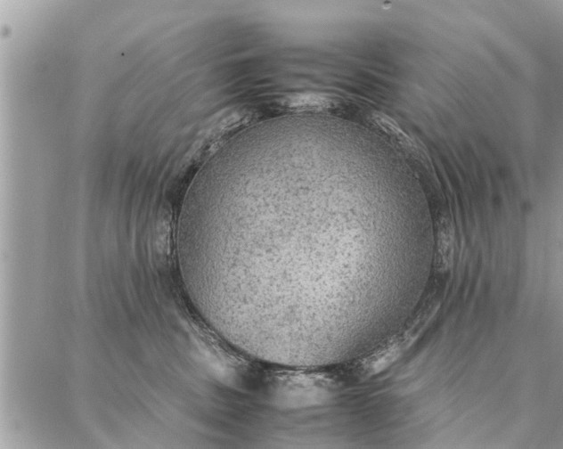 X0000087360379200705041901