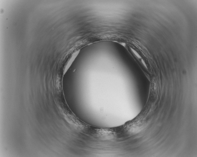 X0000087360380200705041901