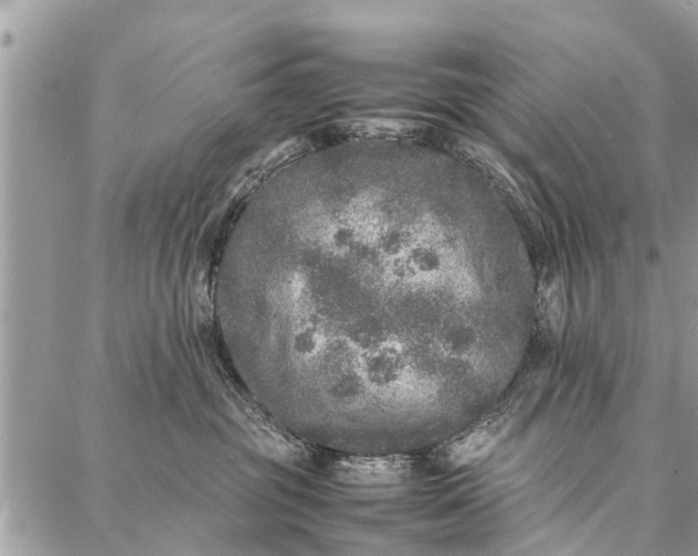 X0000087360381200705041901