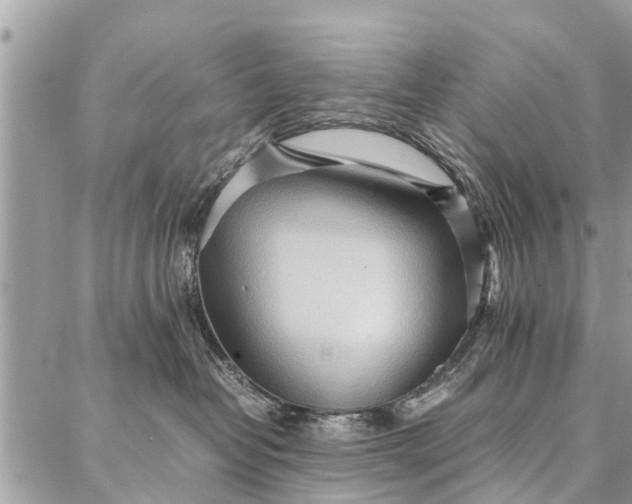 X0000087360382200705041901