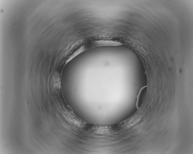 X0000087360384200705041901