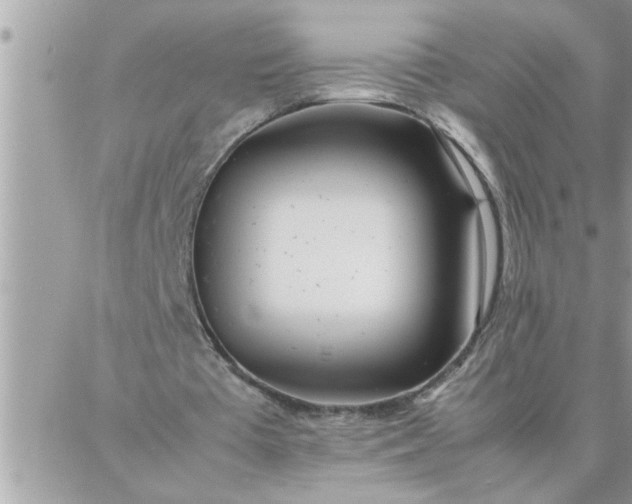 X0000087360385200705041900