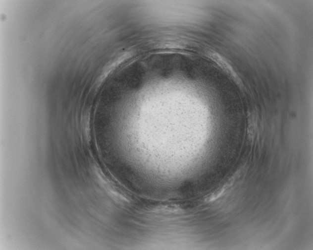 X0000087360386200705041900