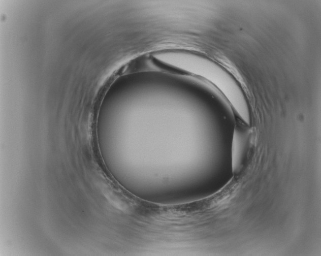 X0000087360387200705041900