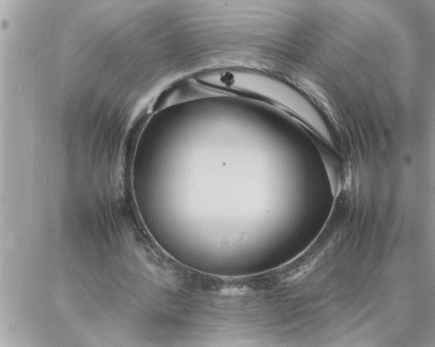 X0000087360388200705041900