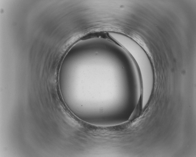 X0000087360389200705041900