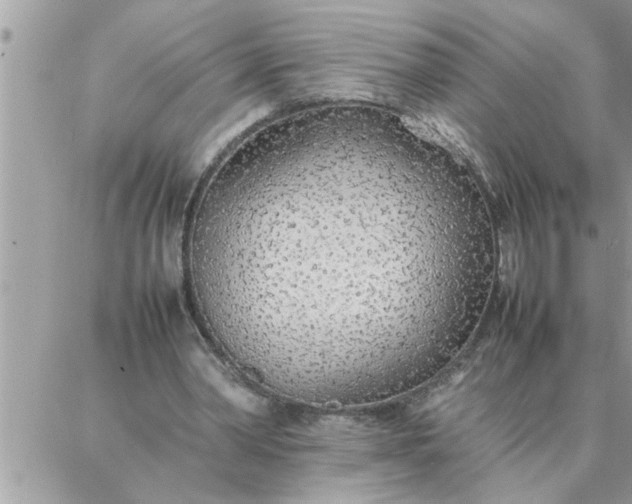 X0000087360390200705041900