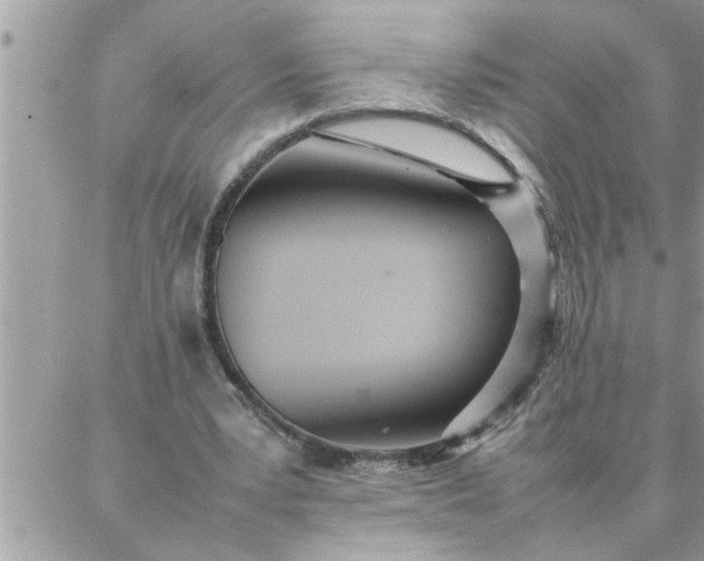 X0000087360391200705041900