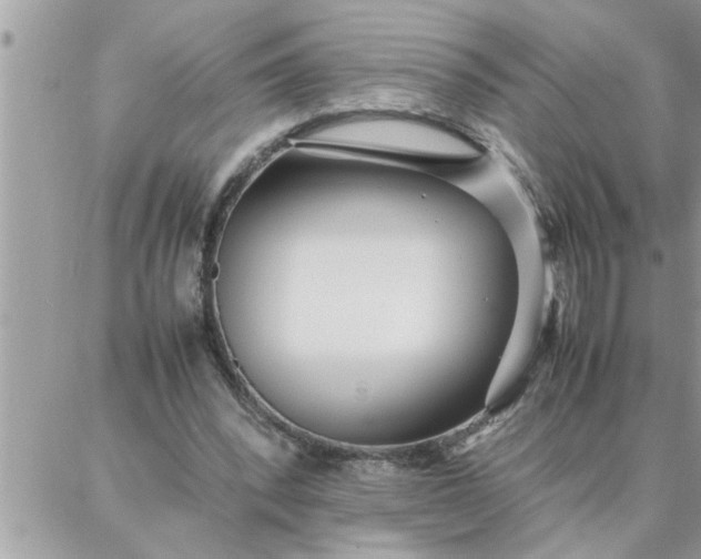 X0000087360392200705041900