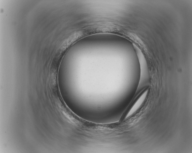 X0000087360393200705041900