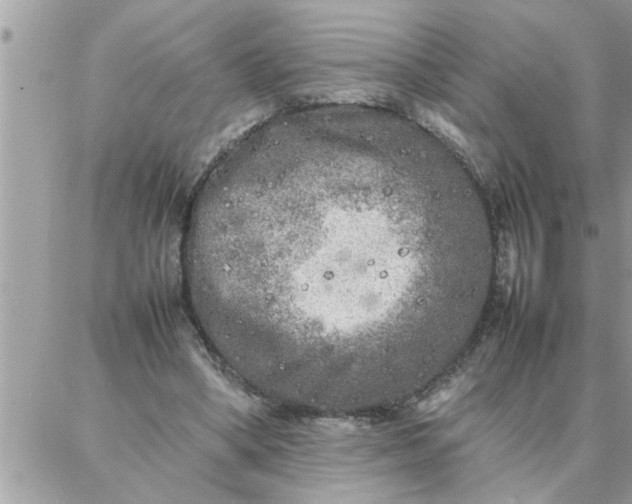 X0000087360394200705041900