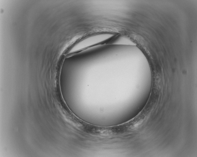 X0000087360395200705041900