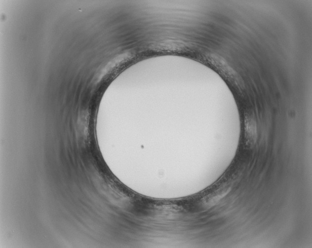 X0000087360396200705041900