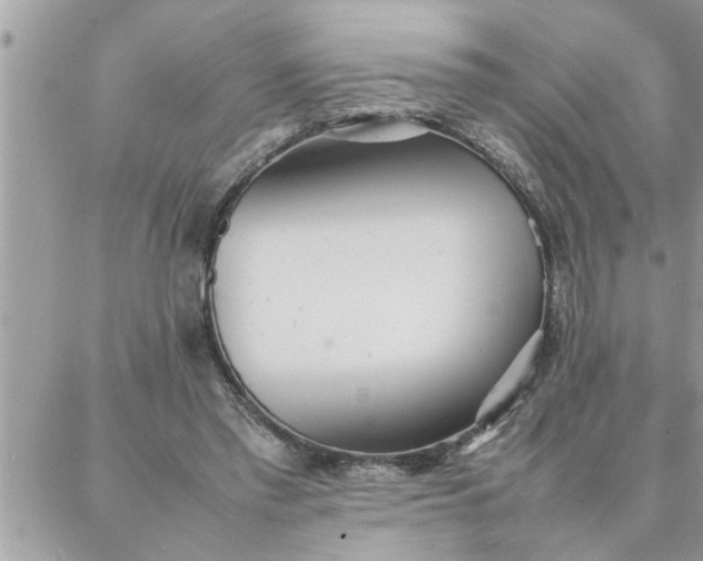 X0000087360397200705041900