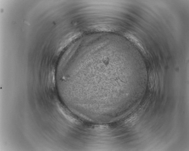 X0000087360398200705041900