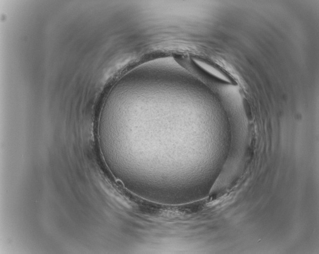 X0000087360399200705041900