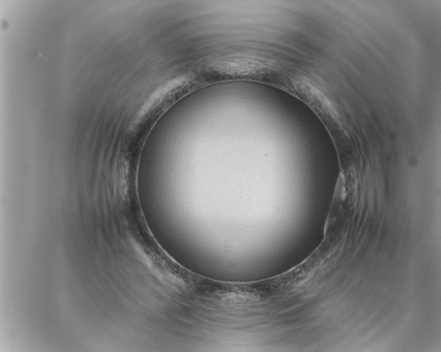 X0000087360400200705041900