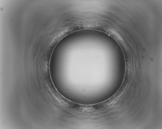 X0000087360401200705041900