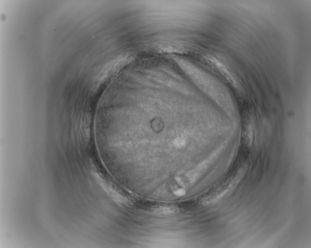 X0000087360402200705041900