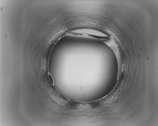 X0000087360403200705041900