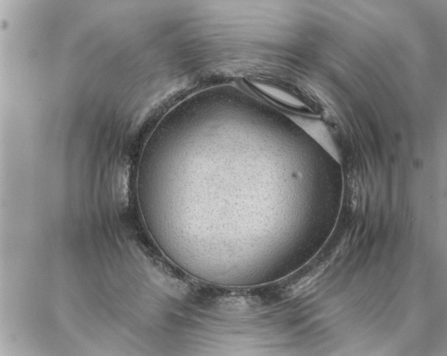 X0000087360404200705041900