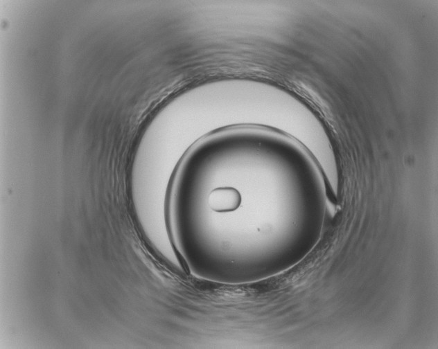 X0000087360405200705041900