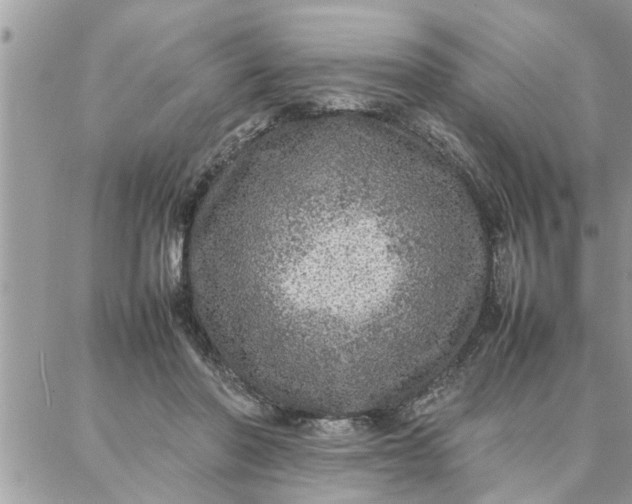 X0000087360406200705041900