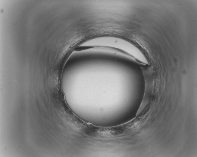 X0000087360407200705041900