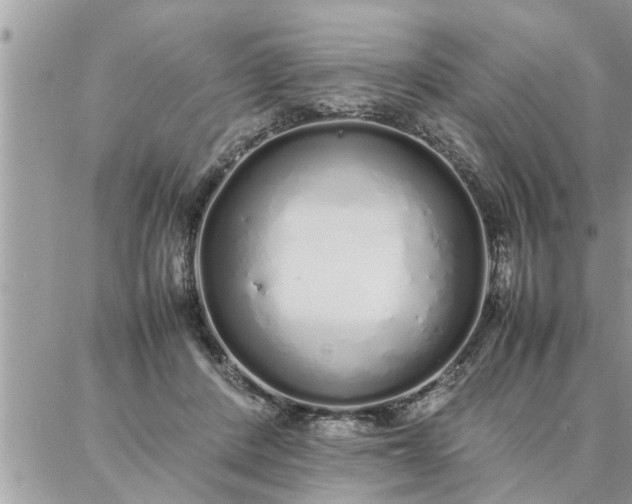 X0000087360408200705041900