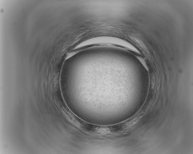 X0000087360409200705041900