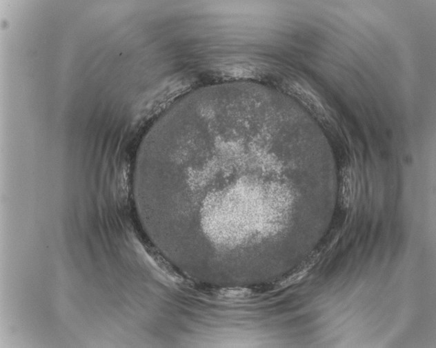 X0000087360410200705041900