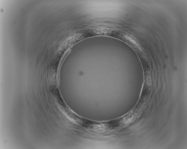 X0000087360411200705041900