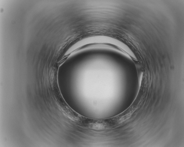 X0000087360412200705041900