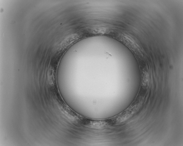 X0000087360414200705041900