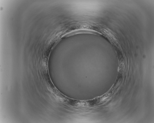 X0000087360415200705041900