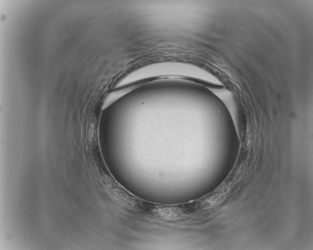 X0000087360417200705041900