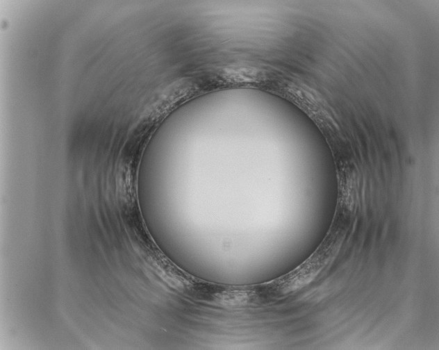 X0000087360418200705041900