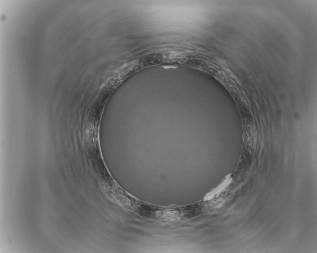 X0000087360419200705041900